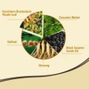 URBANMAC Herbal 3 in 1 Hair Dye Instant Black Hair