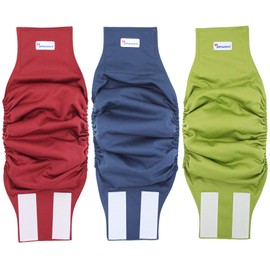 Petsweare Waterproof Absorbency, Washable, Robust, Reusable Dog Nappies, Incontinence Pad for Male Puppies and Dogs, Pack of 3 (Small, Green/Red/Blue)