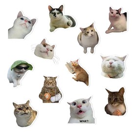 Lovely Funny Fridge Magnets Cat Meme Fasteners on Home& Kitchen; Applicable on Refrigerator, Car, Office Cabinets, Dishwasher and Whiteboard The Most Interesting Birthday Gift (12 Pieces)