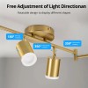 6 Light Track Lighting Gold Track Lighting Fixtures Ceiling LED