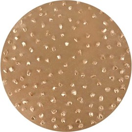 TapeTech Tungsten Carbide Sanding Disc 12 Grit 2pk