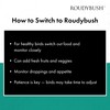 RoudyBush Daily Maintenance Food for Birds - Scientifically Formulated Bird