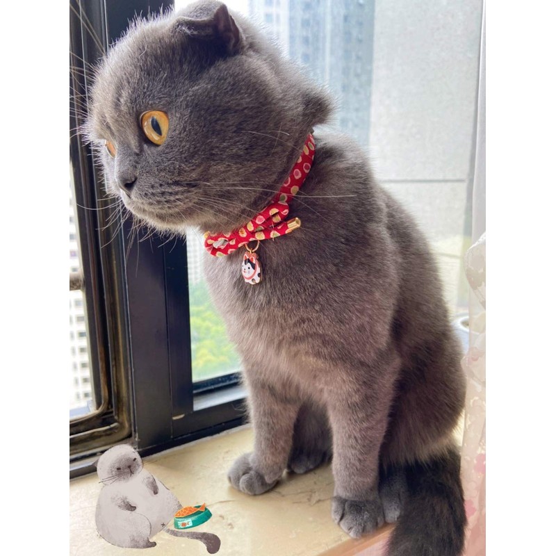 PetSoKoo Bowtie Cat Collar With Bell Bowknot With Cute Cat