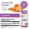 SOLARAY Turmeric Root Extract 600mg One Daily Healthy Joints, Cardiovascular