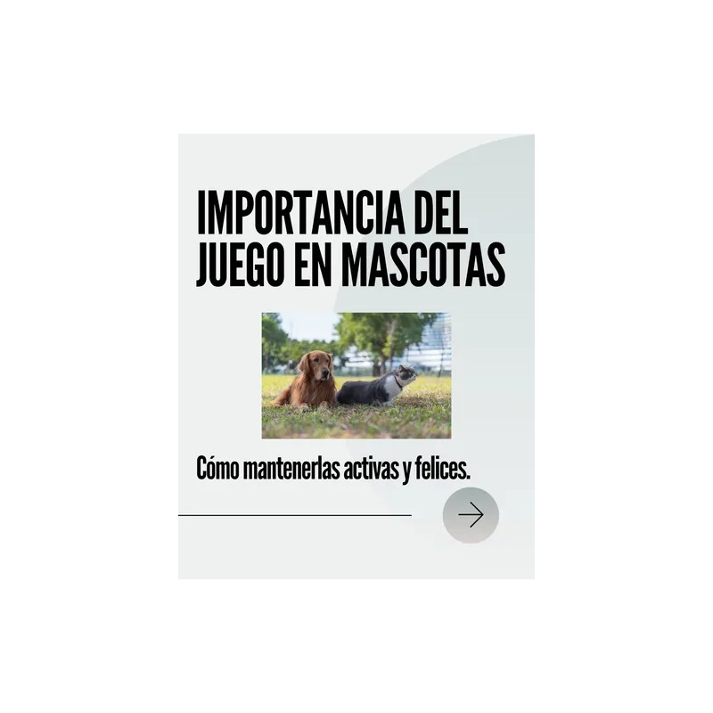 Laxatone Vetoquinol Laxante Para Gato Bolas De Pelo Maple