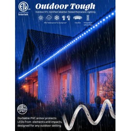 WYZworks 648LEDs, 60ft LED 1/2” Blue Outside Rope Light w/ 8 Mode Controller, Waterproof Outdoor ETL Certified Permanent Connectable Accent Exterior Lighting, Clear Tube, Palm Tree Yard Patio