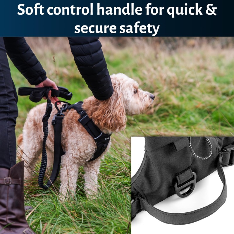 Mikki Doodles Harness for Dogs, Puppies, Adjustable, Quick Release Buckles,