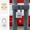 ABUS Titalium padlock 80TI/45 - Cellar lock with lightweight, solid