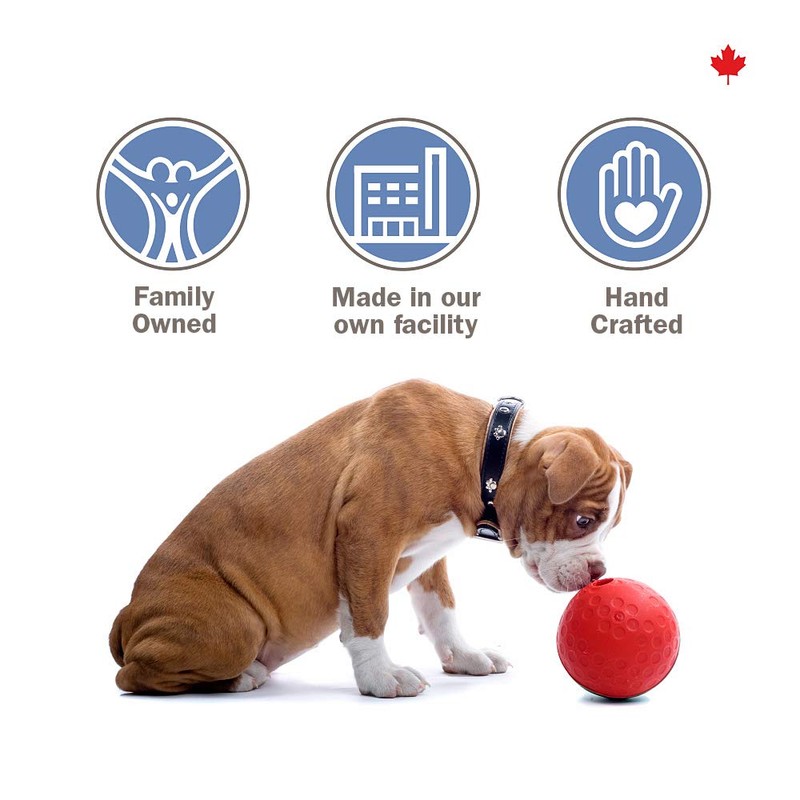 Crumps' Naturals Dog Treat - Mini Trainers