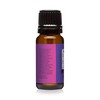 Dragonfruit Berry - Premium Grade Fragrance Oils - 10ml -