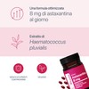 Astaxantina – 80 mg di Estratto di Haematococcus Pluvialis con