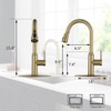 Gold Kitchen Faucet with Sprayer,Single Handle Kitchen Sink Faucet with