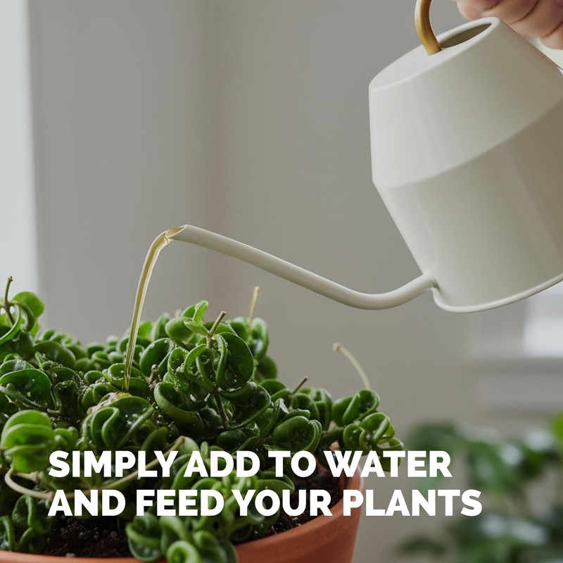 Hoya Fertilizer, Complete Liquid Hoya Plant Food, 8 oz (250mL)