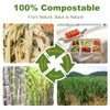 50 Pack 6 Compartment Disposable Paper Plates, Compostable Bagasse School
