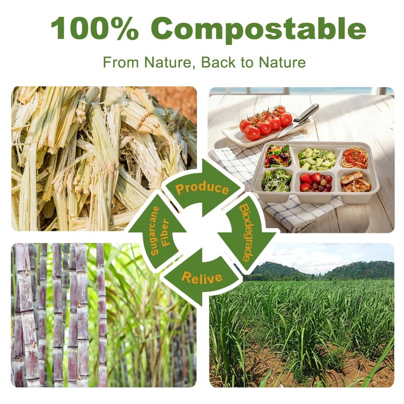 50 Pack 6 Compartment Disposable Paper Plates, Compostable Bagasse School