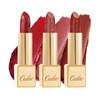 Oulac Metallic Shine Lipstick Long Lasting Lip Color Set 5