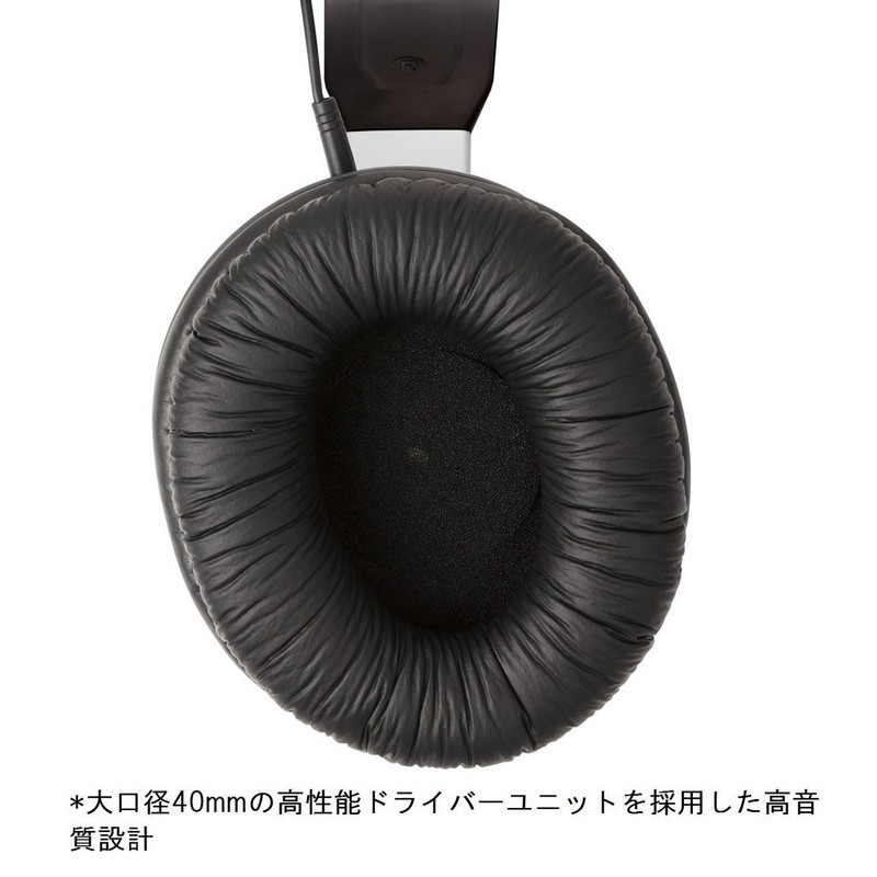 Panasonic Over-Ear Headphones RP-HT260