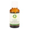 R V Essential Pure Wormwood Essential Oil 50ml (1.69oz)- Artemisia