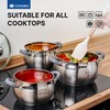 Daniks Modern 3 Quart Stainless Steel Stock Pot with Glass