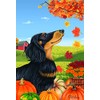 Dachshund Black/Tan Longhaired - Best of Breed Autumn Leaves Garden