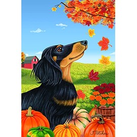 Dachshund Black/Tan Longhaired - Best of Breed Autumn Leaves Garden Flag