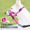 GoodBoy Dog Head Halter with Safety Strap - Stops Heavy