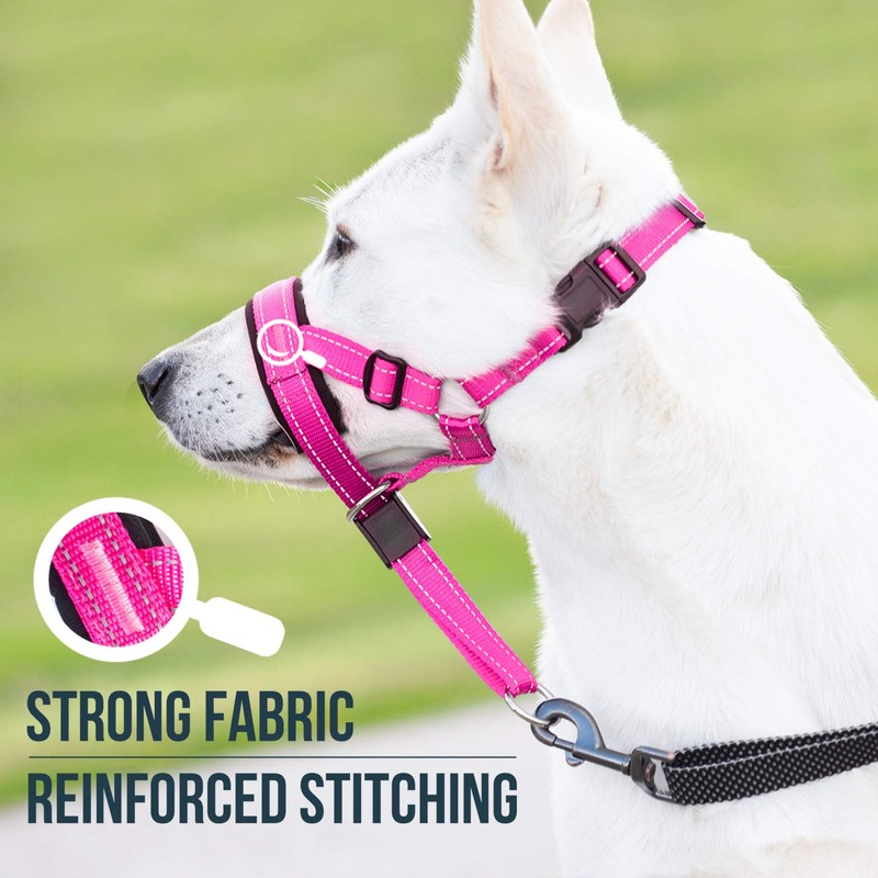 GoodBoy Dog Head Halter with Safety Strap - Stops Heavy