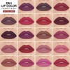 evpct 1Pcs Dark Purple Plum Lip Stain Paint Matte Lip
