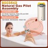 9003542 Natural Gas Pilot Assembly, Replacement for 100109295 9003542005 18324-190