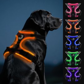 Joytale Light Up Dog Harness, No Pull Dog Harness USB Rechargeable for Night Walking with 3 Lightning Modes and Soft Handle, Adjustable Reflective Lighted Safety Vest, Orange, Large