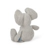 Surrey Feed Crinkle and Squeak Elephant Dog Toy Plush