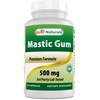 Best Naturals Mastic Gum 500 mg 60 Capsules (60 Count
