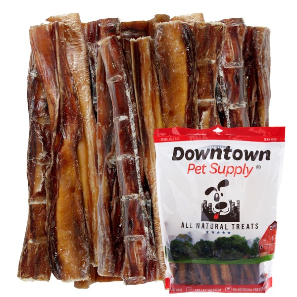 Downtown Pet Supply Bully Sticks for Dogs (6", 10-Pack Regular) Rawhide Free Dog Chews Long Lasting Non-Splintering Pizzle Sticks - USA Sourced Low Odor Bully Sticks for Large Dogs