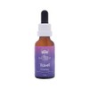 Australian Bush Flowers Australian Bush Flower Essences Travel Drops