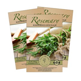 Gaea's Blessing Seeds - Rosemary Seeds - Heirloom Non-GMO Seeds with Easy to Follow Instructions 97% Germination Rate (Pack of 3)