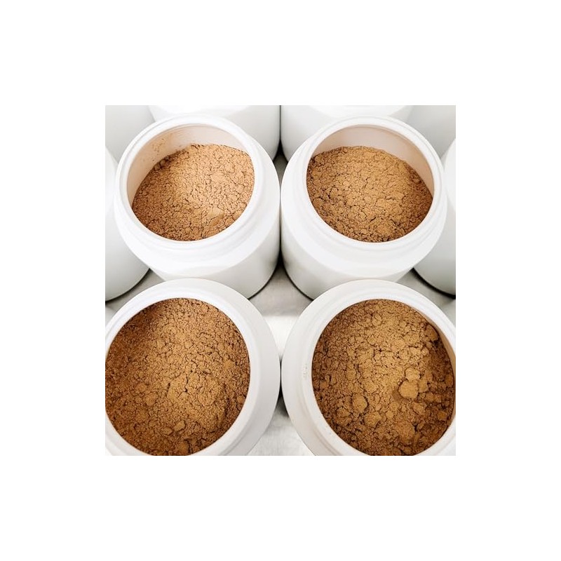 BEAUVITAL Pure Bio Powerimmune 100 g Vital Mushroom Powder from