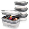 Alpha Designs | Meal Prep Containers Reusable Food Lunch Box