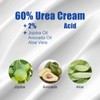60% Urea Cream，Urea Foot Cream，Foot Cream for Cracked Heels and