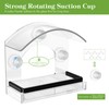 Clear Window Bird Feeder with Strong Suction Cups Bird Feeders