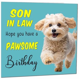Son in Law Birthday Card for Men Women Dog Pawsome Birthday Cards for Son in Law