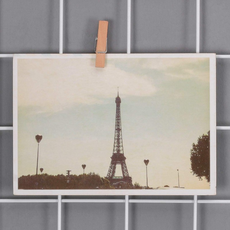 Kaforise Wire Wall Grid Panel, Multifunction Painted Photo Hanging Display