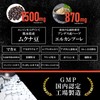 トラメンタル TORA MENTAL LJ100 3,600mg Zynamite 4,200mg AstraGin 1,500mg ムクナ豆
