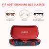 molshine Hard Shell Sunglasses Case, Classic Large Glasses Case for