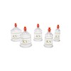 KS AG Professional Cupping Set (17 Cups) with Extension Tube