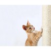 TRIXIE Replacement Sisal Post for Scratching Posts, Cat Trees and