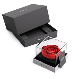 Nifeliz ROSEEVER Artificial Flowers Building Sets, Unique Home Décor Gift for Adults, Ideal for Birthday and Anniversary, Creative Building Toys to Build and Display NF10256