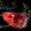 SEBLAFF - Juego de 1 luz trasera izquierda para 2003-2008