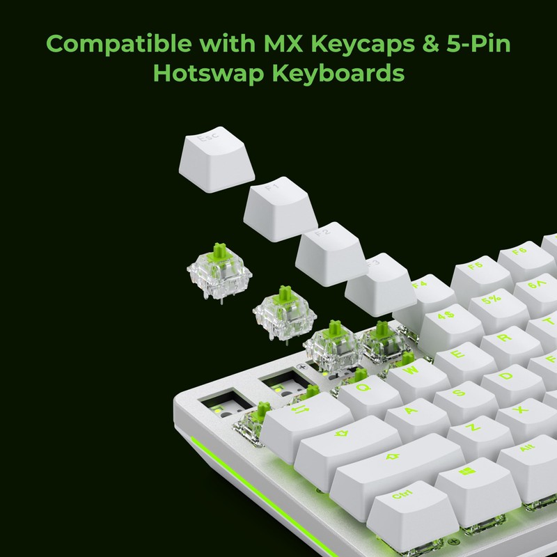 Glorious Raptor Clicky Switches for Mechanical Keyboards for Gaming: 36