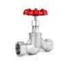 1" NPT Stainless Steel S-Type Globe Valve, Accurately Adjust Flow