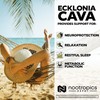 Nootropics Depot Ecklonia cava Capsules | 250mg | 0.5% Dieckol